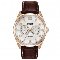 Citizen Eco-Drive Silver Tone Men